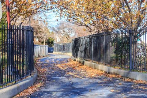 Brooklyn Park in Fall Stock Photos