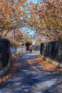 Brooklyn Park in Fall Stock Photos