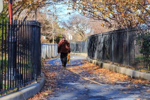 Brooklyn Park in Fall Stock Photos