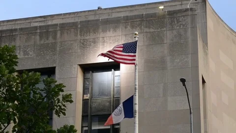 Brooklyn Public Library Flags Stock Footage 79055250