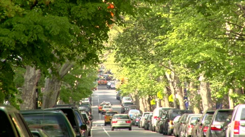 Brooklyn Tree Lined Street Stock Footage 49222586