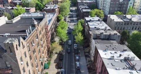 Brooklyn Tree Lined Street NYC Aerial Summer Childrens museum 库存影片 274363754