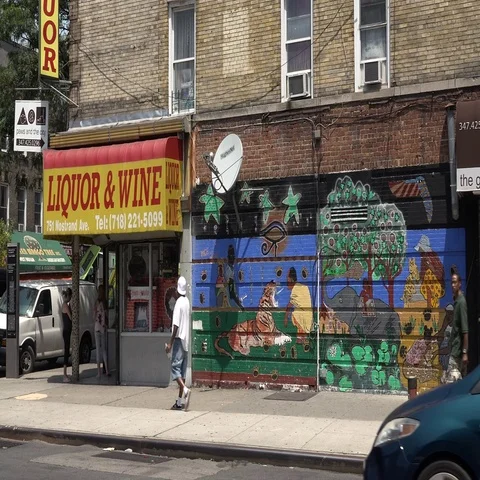 Brooklyn Wall Mural in Crown Heights Brooklyn Vídeos de archivo 69723632