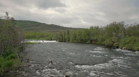 Brooks River Alaska, Wide Static Shot Stock Footage 42403336