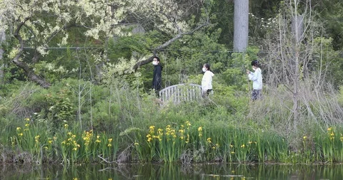 Brookside Gardens during COVID-19 Stock Footage 129721186