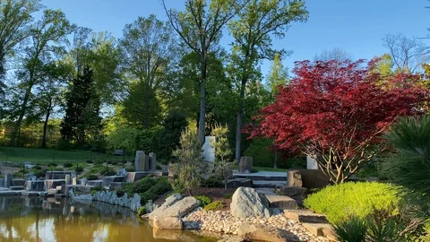 Brookside Gardens Stock Footage 129722423