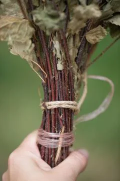 Broom for baths, birch Stock Photos