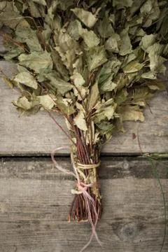 Broom for baths, birch Stock Photos