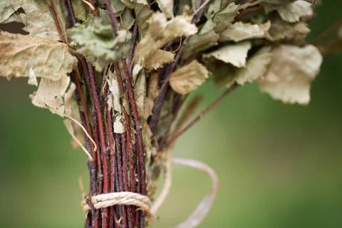 Broom for baths, birch Stock Photos