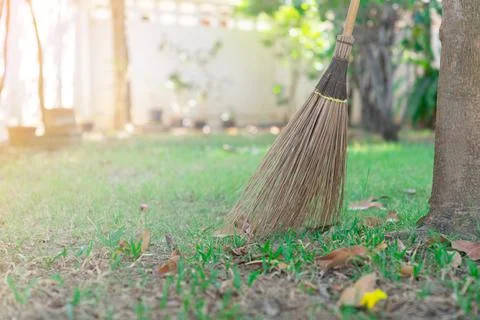 A broom leaned against a tree in the front yard. Stock Photos