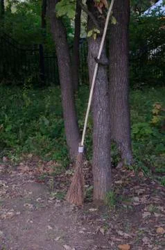Broom made of branches leaned against a tree in a park on a background of gre Stock Photos
