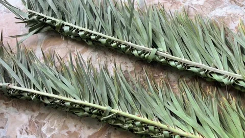 Broom Made from Date Palm Leaves for Daily Cleaning Stock Footage 320285559