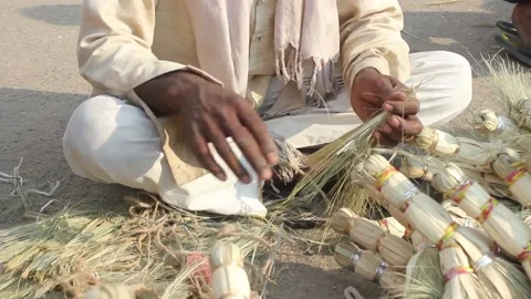 Broom seller Stock Footage 208331232