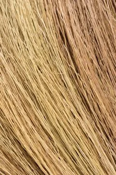 Broom stick grass texture close up view background Stock Photos