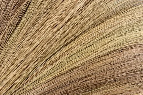 Broom stick grass texture close up view background Stock Photos