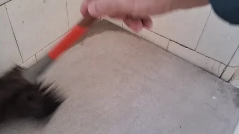 Broom sweeping dusty tile floor in fast motion video clip Stock Footage 339247445