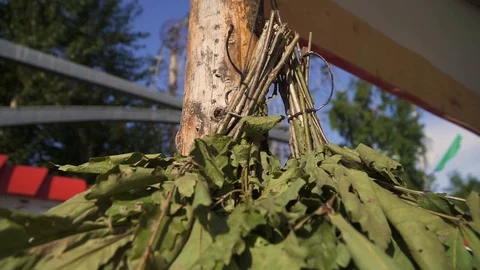 Brooms on a pole Video stock 95766003