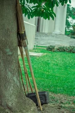 Brooms under the tree Stock Photos
