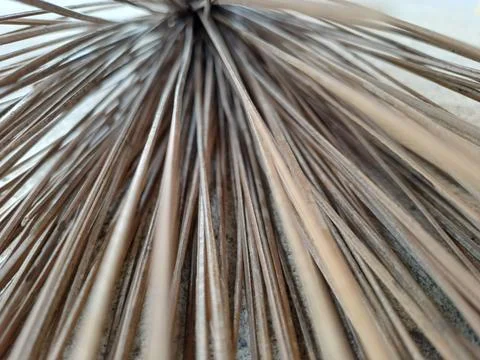 Broomstick Stock Photos