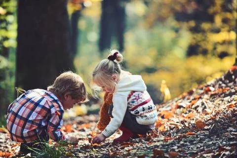 Brother and sister camping in autumn forest. Children pick acorns from oak trees Stock Photos