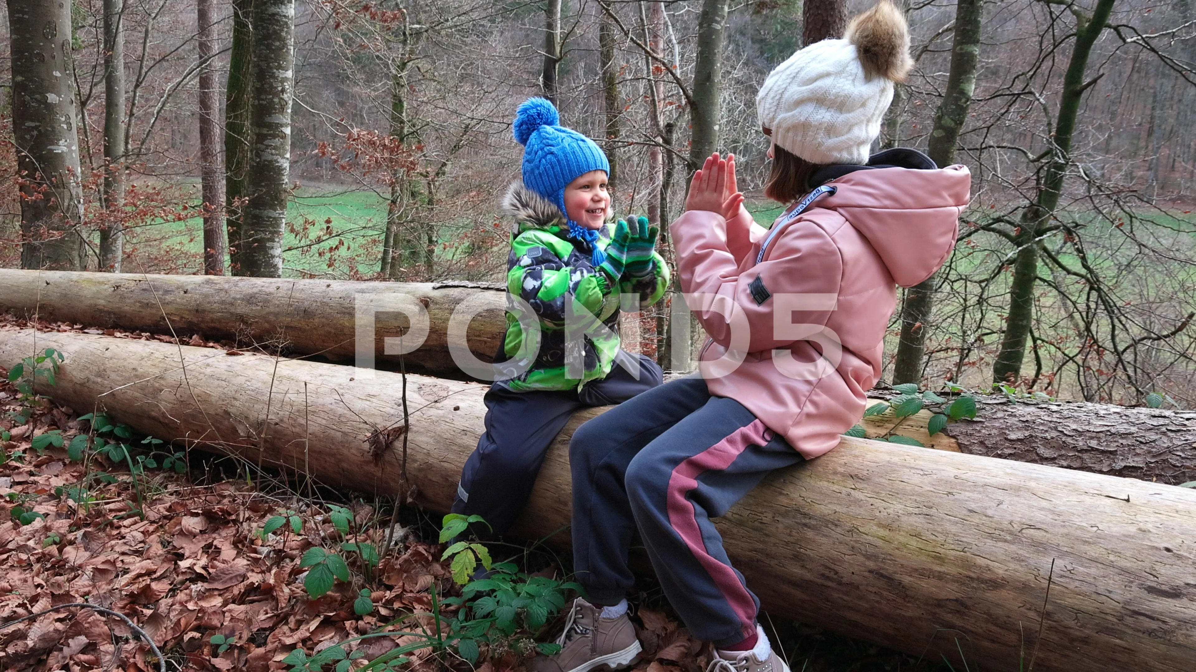 Brother and sister playing patty in the forest