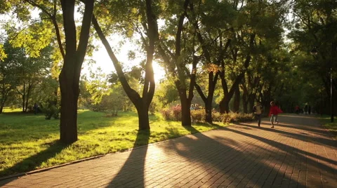 Brother and sister running down the path. children run along the avenue Stock Footage 68380403