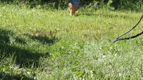 Brother chasing brother 動画素材 8517282