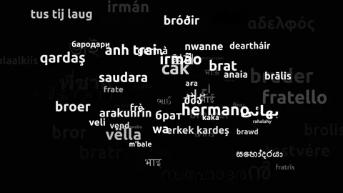 Brother Translated in 69 Worldwide Languages Endless Looping 3d Zooming Wordc Stock Footage 145201045