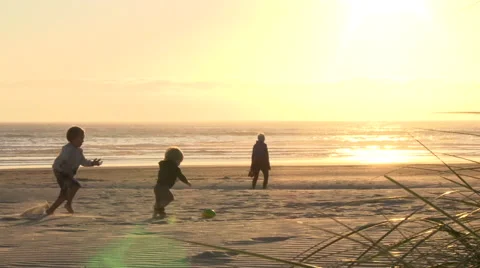 Brothers Playing on Sandy Beach Video stock 40748772