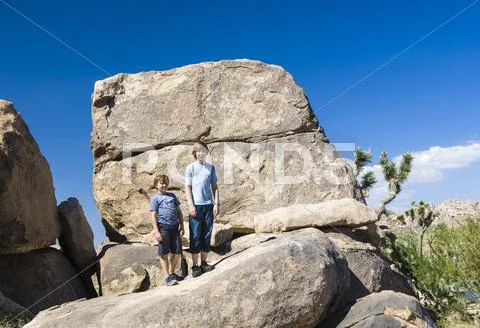 Brothers pose on a rock at yoshua tree national park near park boulevard Stock Photos