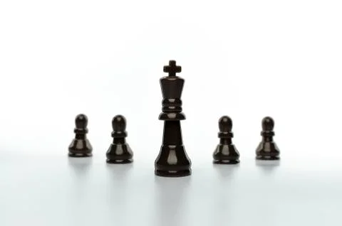 Broun Chess on white background 写真素材