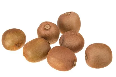 Broun kiwi fruit Stock Photos