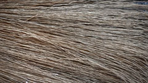 Brown Abstract Texture Background Stock Photos