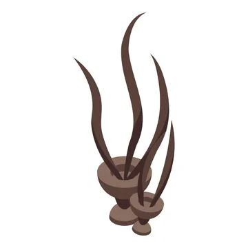 Brown alga icon isometric vector. Marine plant Stock Illustration