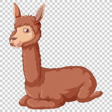 Brown Alpaca Sitting Isolated White Background Illustrazione stock