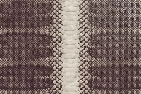 Brown and Beige Python Snakeskin Texture Seamless Pattern Background Stock Illustration