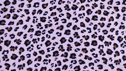 Brown and black leopard prints Stock Footage 260539007