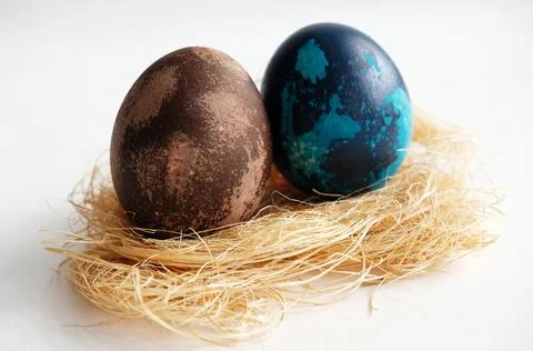 Brown and blue marbled Easter dyed egg on coconut fiber on a white background Stock Photos