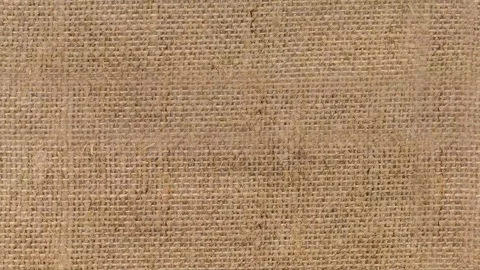 A brown and tan fabric with a pattern of lines and dots. 4k Stock Footage 295552546