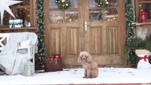 Brown and white Easter eggs decorated in the form of unicorns on a green and Stock-Footage 149758109
