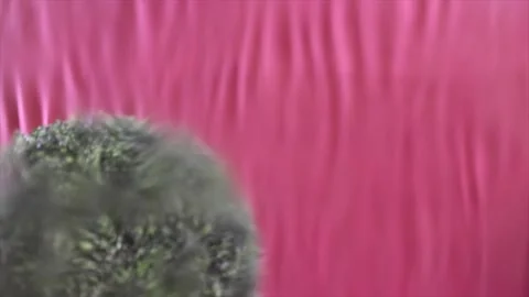 Brown and white Easter eggs decorated in the form of unicorns on a green and Stock-Footage 149758664