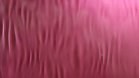 Brown and white Easter eggs decorated in the form of unicorns on a green and Stock-Footage 149758826