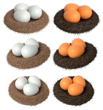 Brown and white eggs in bird nests isolated on white transparent background. Stock Illustration