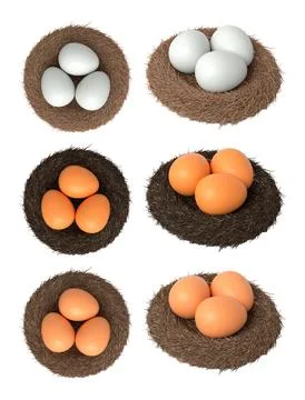 Brown and white eggs in bird nests isolated on white transparent background. Stock Illustration