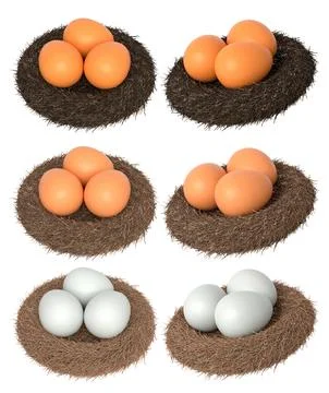 Brown and white eggs in bird nests isolated on white transparent background. Stock Illustration