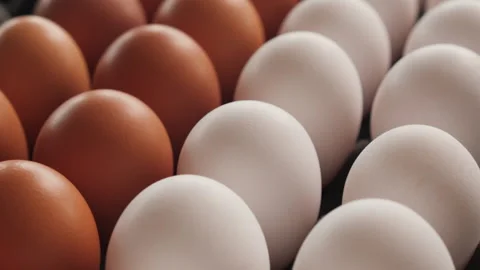 Brown and white eggs in egg production facility - camera slide. Видео 173412854