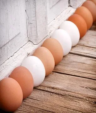 Brown and white eggs lined up Stock Photos