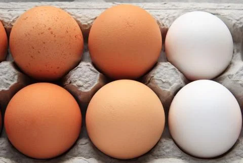Brown and white eggs Stock Photos