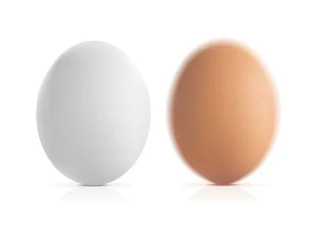 Brown and white vector eggs Stock Illustration