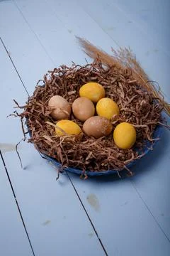 Brown and yellow painted Easter eggs in decorative nest on blue wooden table Stock Photos